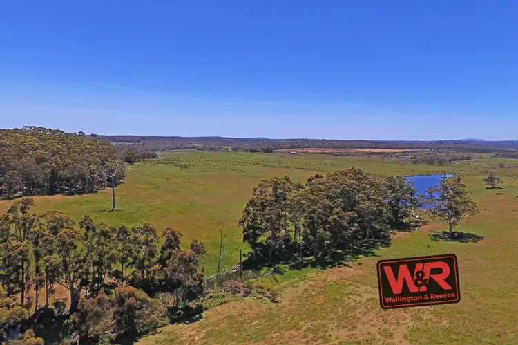 Sixth view of Homely rural property listing, 3922 South Coast Highway, Kentdale WA 6333