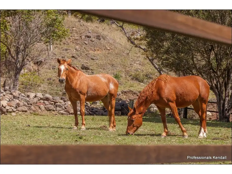 Seventh view of Homely house listing, 590 Illinbah Road, Illinbah QLD 4275