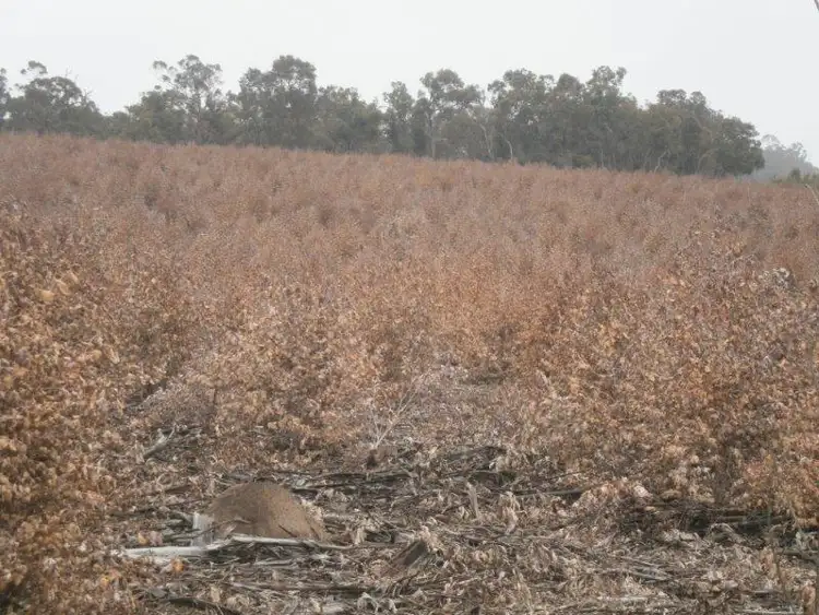 Seventh view of Homely rural property listing, 1706 Bridgetown Boyup Brook Rd, Benjinup WA 6255