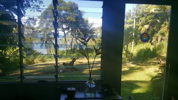 Third view of Homely house listing, 1291 Mossman-Daintree Road, Rocky Point QLD 4873
