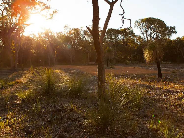 Lot 7 Blue Orchid Court, Yallingup WA 6282