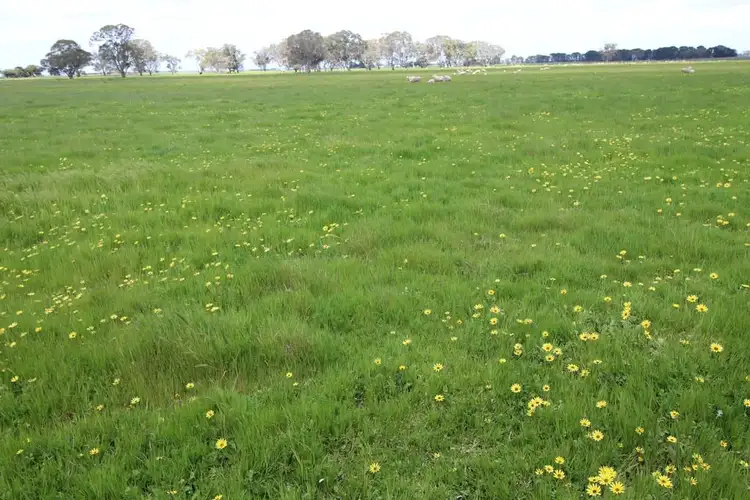 Fifth view of Homely rural property listing, Address available on request