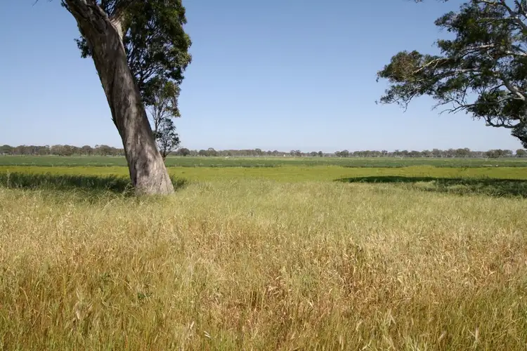 Sixth view of Homely rural property listing, Lot 56* Pondham Road, Hynam SA 5262