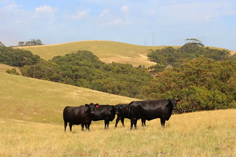 Fourth view of Homely rural property listing, A11 Hindmarsh Tiers Road, Myponga SA 5202