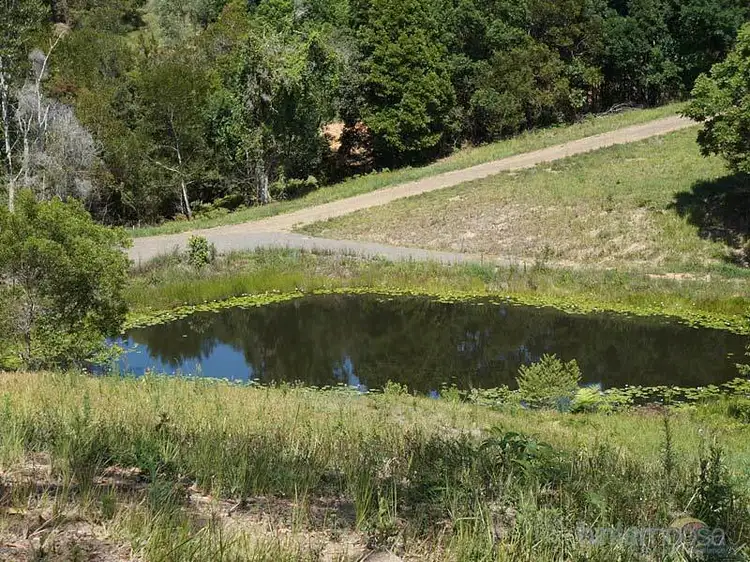 Lot 19 Coachwood Terrace, Black Mountain QLD 4563