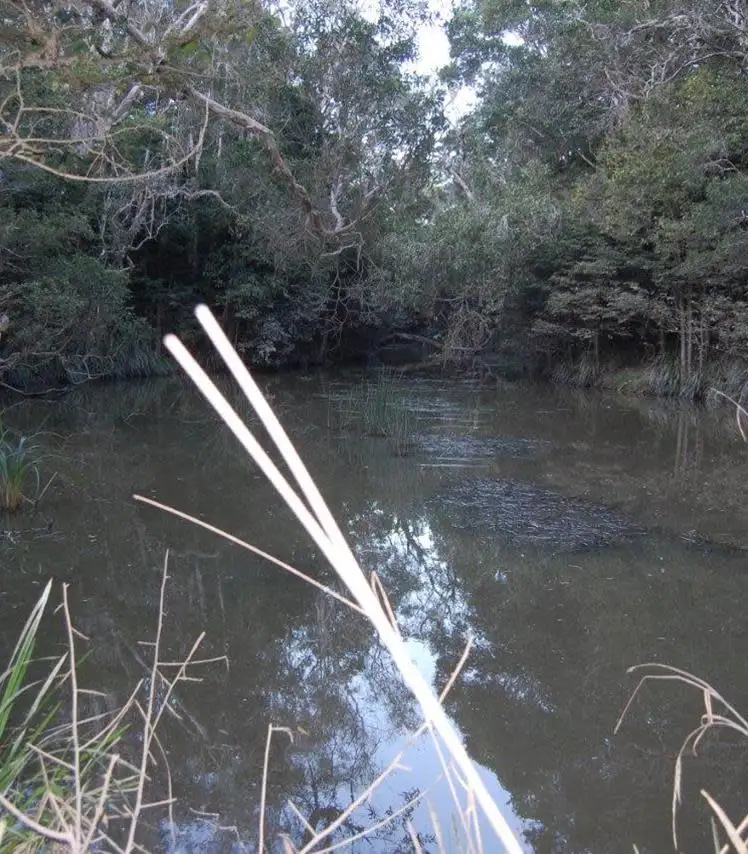 Fifth view of Homely rural property listing, JULATTEN PARK Euluma Creek Road, Julatten QLD 4871