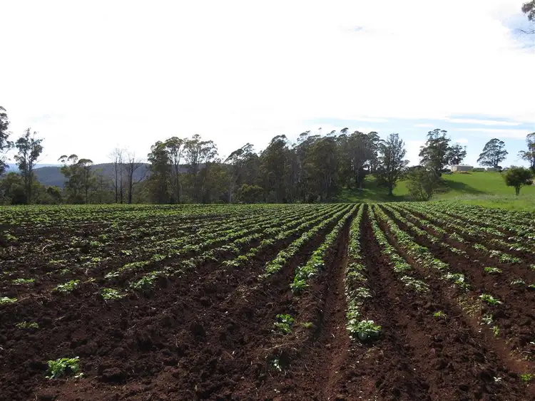Third view of Homely rural property listing, Lot 8 Maloneys Road, Sunnyside TAS 7305