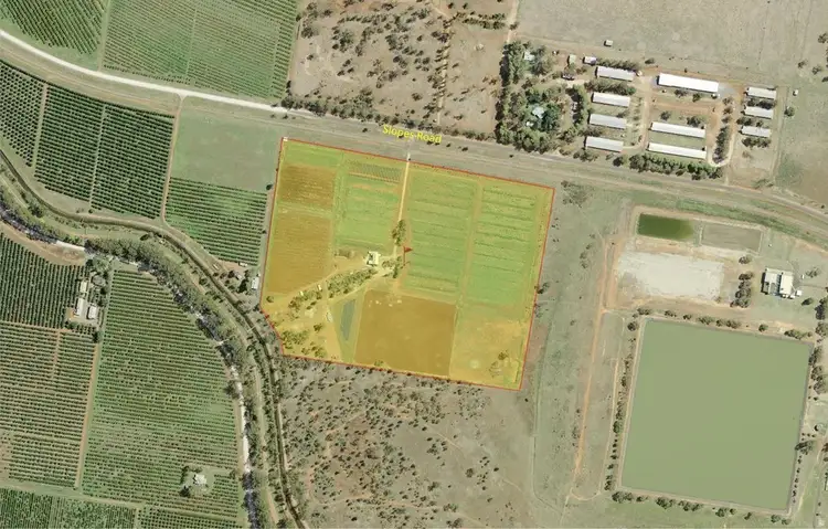 1295C Slopes Road, Griffith NSW 2680