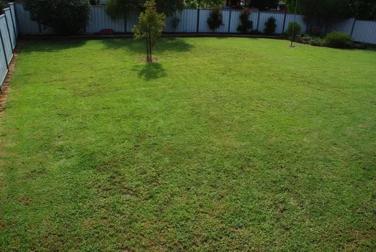 Fourth view of Homely house listing, 8 Marsh Street, Wellington NSW 2820