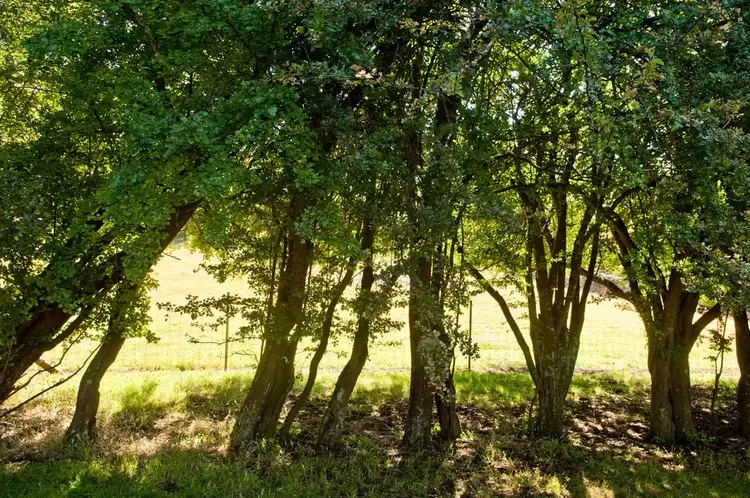 Sixth view of Homely land listing, 26 Westbury Place, Deloraine TAS 7304