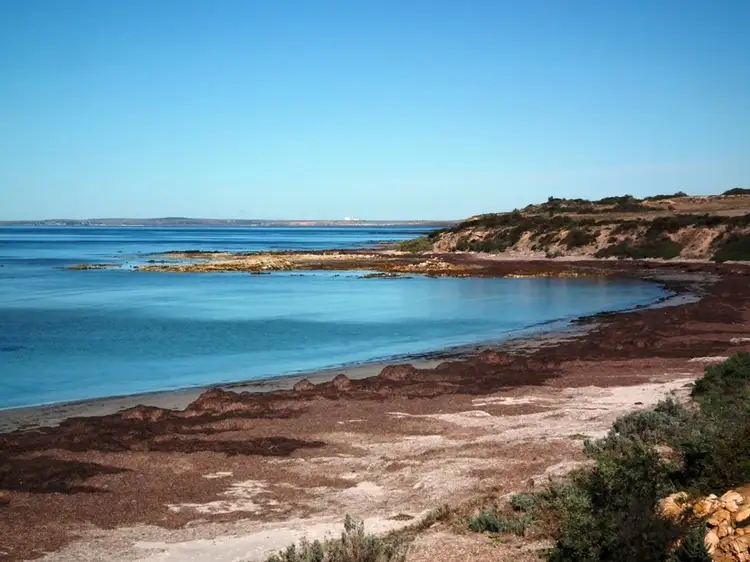 Fifth view of Homely rural property listing, Allotment 100 Hundred of Dixson, Arno Bay SA 5603