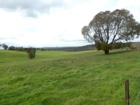 Second view of Homely rural property listing, 699 Taylors Flat Road, Boorowa NSW 2586