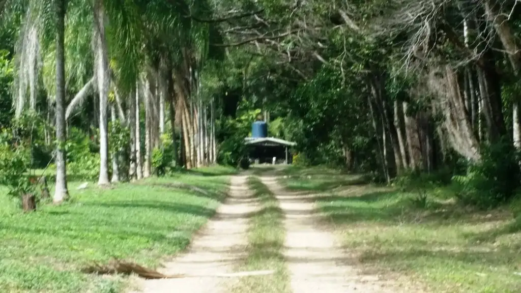 Main view of Homely rural property listing, 79 (225R) Forest Creek Road, Daintree QLD 4873