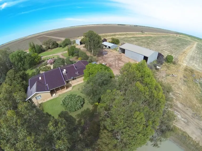 Main view of Homely rural property listing, Farm 1308 Kooba Road, Whitton NSW 2705