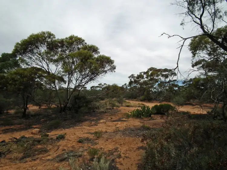 Fifth view of Homely land listing, Section 386 Ral Ral Avenue, Cooltong SA 5341