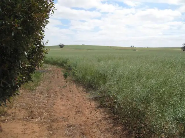 Main view of Homely rural property listing, - Zwecks Road, Rosedale SA 5350