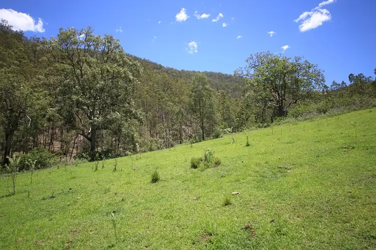 Sixth view of Homely rural property listing, Lot 193 Old Glen Innes Road, Newton Boyd NSW 2370