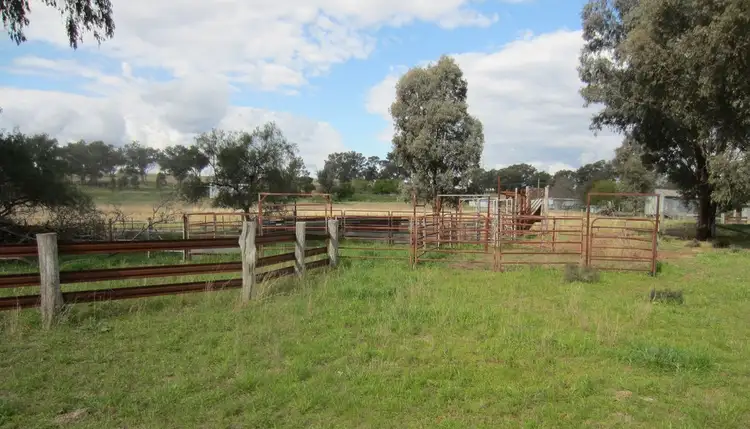 Seventh view of Homely rural property listing, 2405 Duri Dungowan Road, Loomberah NSW 2340