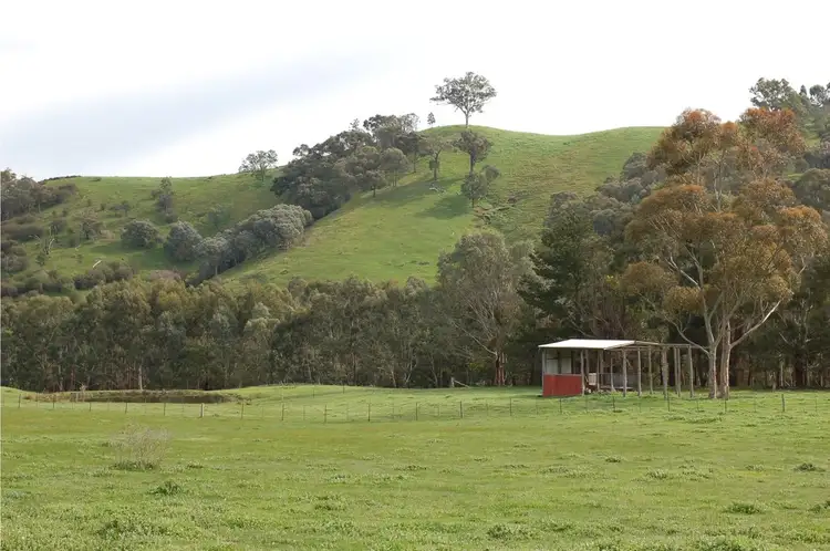 Main view of Homely rural property listing, Gate 4 / 231 Shannons Lane, Murrindindi VIC 3717