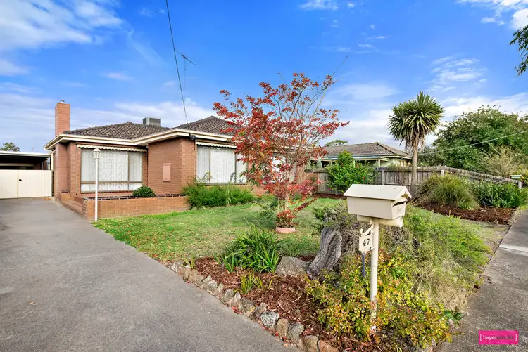 47 Marjorie Avenue, Belmont VIC 3216