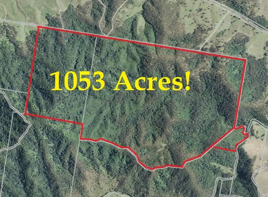 Main view of Homely rural property listing, 6259 Oxley Highway, Yarras NSW 2446