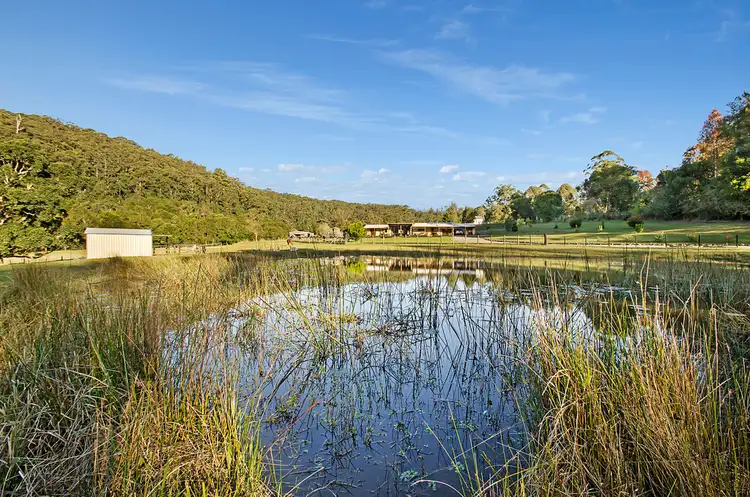 Fourth view of Homely rural property listing, 453 Deep Creek Road, Hannam Vale NSW 2443