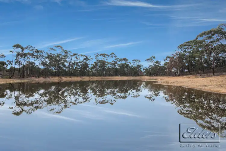 Second view of Homely house listing, 39 Grey Box Lane, Kimbolton VIC 3551