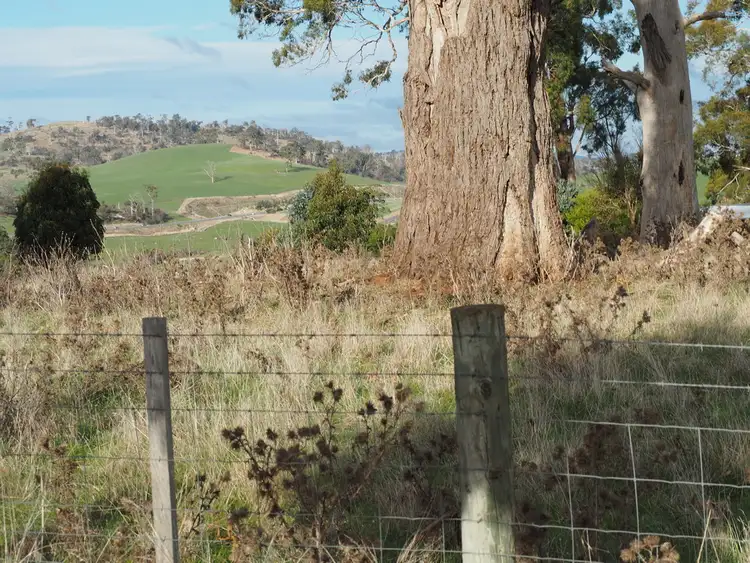 Sixth view of Homely land listing, 39 Peddie Drive, Dilston TAS 7252