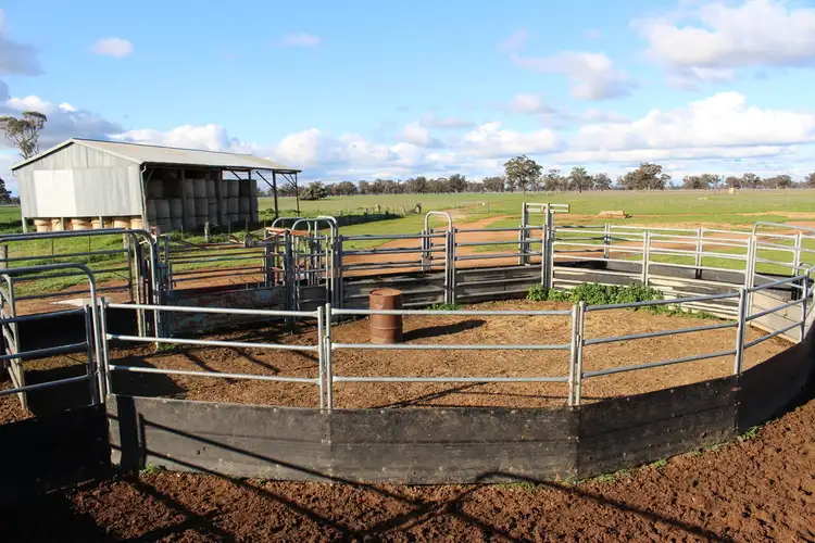 Fourth view of Homely rural property listing, 2466 Mulwala / Corowa Road, Mulwala NSW 2647