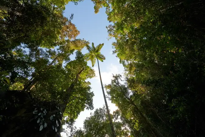 Fourth view of Homely land listing, Address available on request