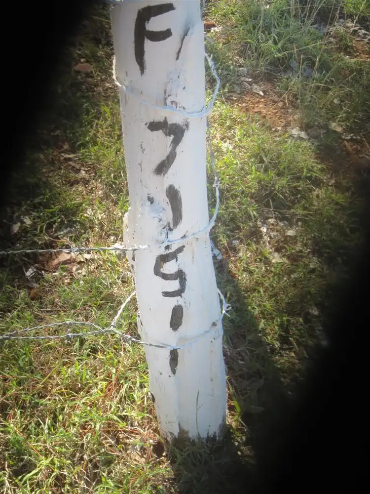 Second view of Homely house listing, MC 71511 Mt Bullock Road, Sapphire QLD 4702