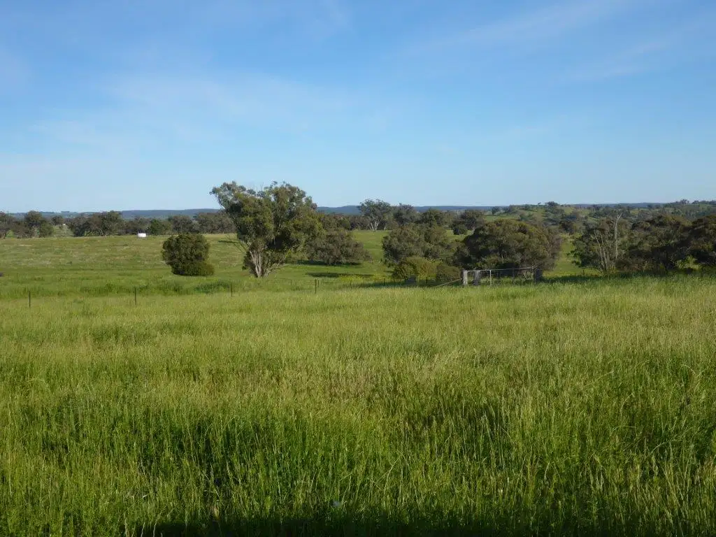 Main view of Homely rural property listing, Address available on request