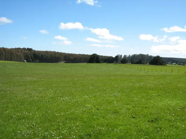 Seventh view of Homely rural property listing, 686 South Preston Road, Nietta TAS 7315