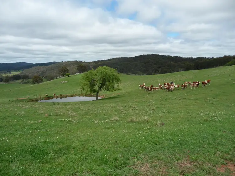 Second view of Homely rural property listing, 4175 PINKETT ROAD, Glen Innes NSW 2370