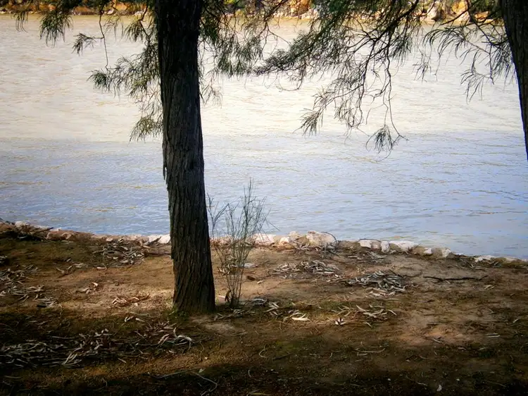 Fifth view of Homely land listing, 56 Pelican Point Road, Morgan SA 5320