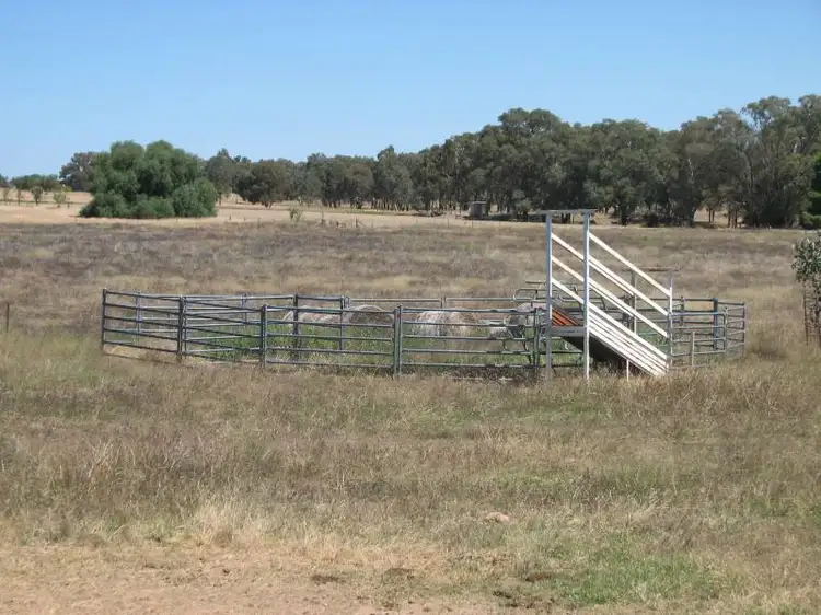 Third view of Homely rural property listing, 987 Monteagle Road, Young NSW 2594
