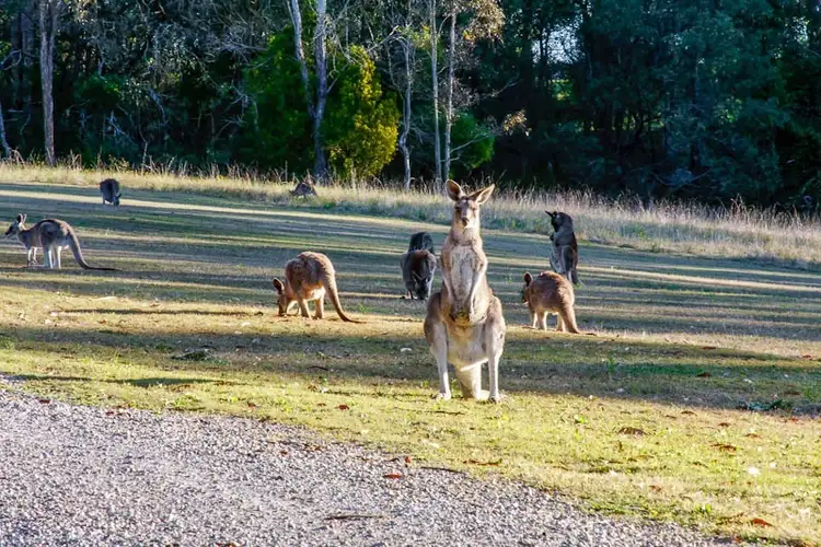 Fourth view of Homely land listing, 110 Wisemans Ferry Road, Cattai NSW 2756