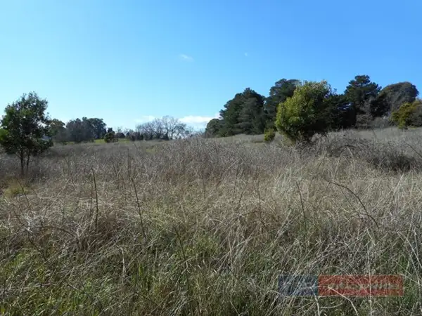 Main view of Homely land listing, Lot 10 Yellowin Road, Batlow NSW 2730