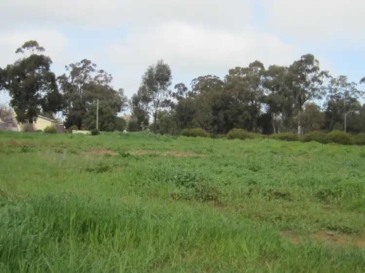 Main view of Homely land listing, 17-19 Hill Street, Ganmain NSW 2702