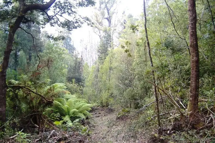 Seventh view of Homely land listing, Lot 1 Cloudy Bay Road, South, Bruny Island TAS 7150