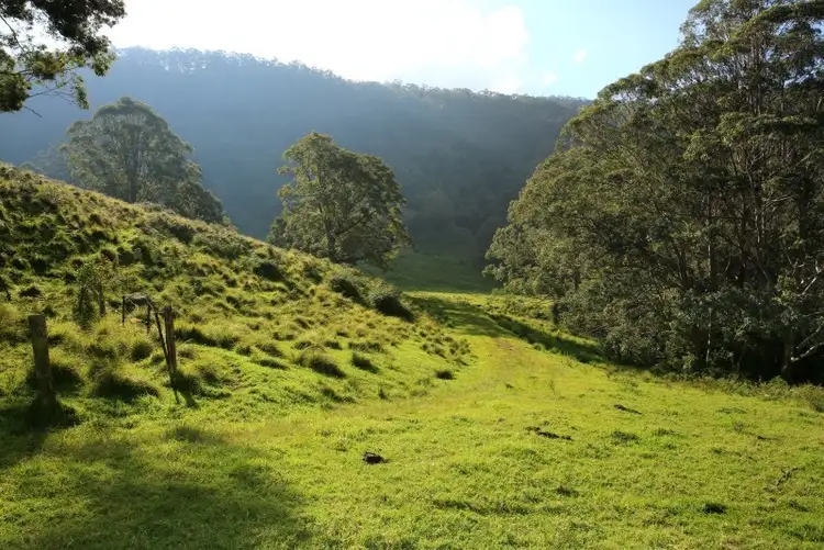 Sixth view of Homely land listing, 119d Mackays Rd, Kangaroo Valley NSW 2577