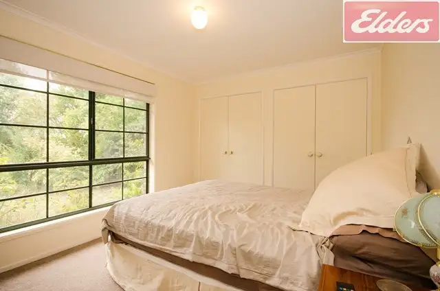 Sixth view of Homely house listing, 36 Peacock Avenue, West Wodonga VIC 3690