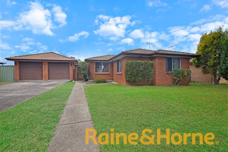 Address available on request