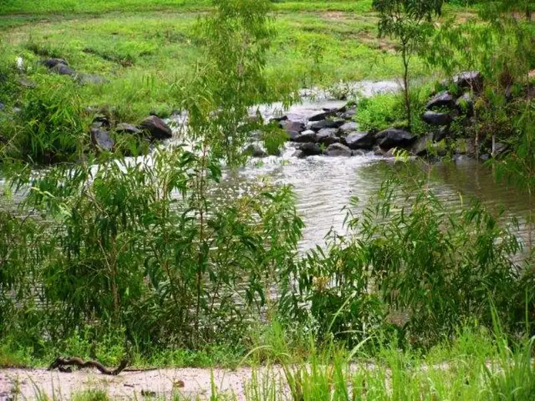 Third view of Homely rural property listing, 14755 Bruce Hwy., Proserpine QLD 4800
