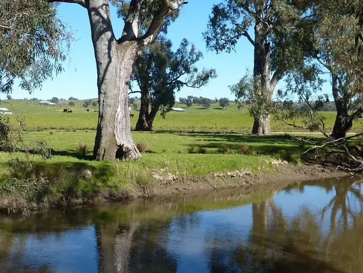 Sixth view of Homely rural property listing, 415 Sturt Highway, Wagga Wagga NSW 2650