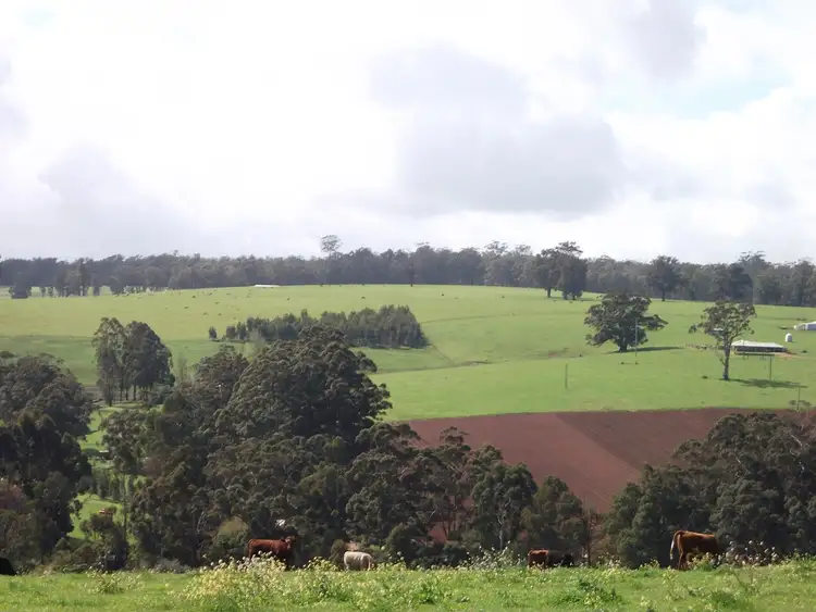 Sixth view of Homely rural property listing, 356 Angels Road, Manjimup WA 6258