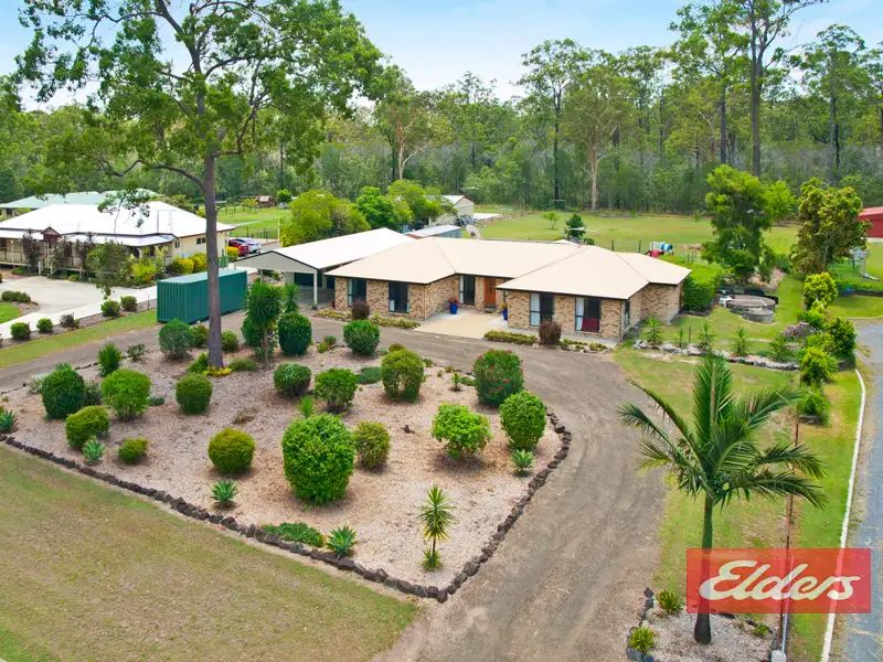 Main view of Homely house listing, 99 Pastoral Court, Jimboomba QLD 4280