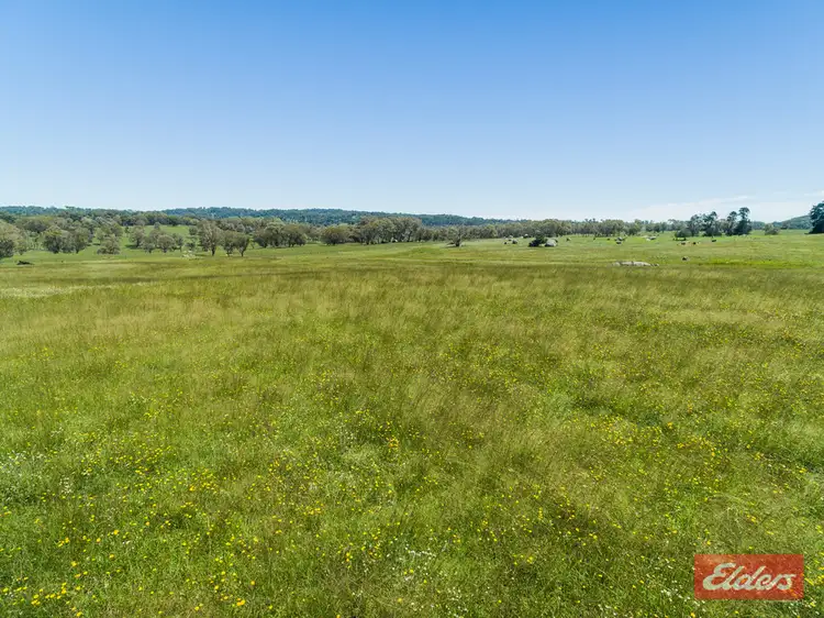 Fourth view of Homely rural property listing, Address available on request