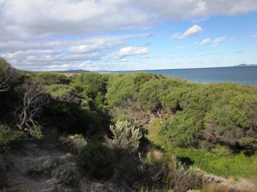 Lot 6 Mount Tanner Road, Flinders Island TAS 7255