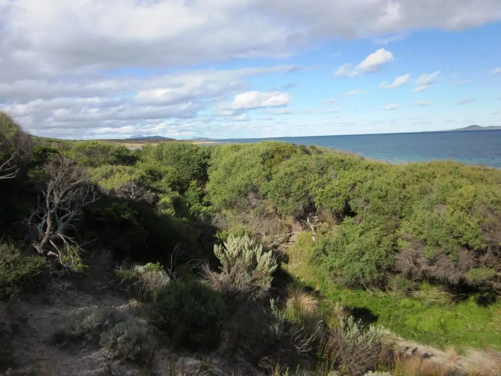 Main view of Homely land listing, Lot 6 Mount Tanner Road, Flinders Island TAS 7255